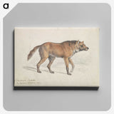 1-70_Charles-Hamilton-Smith_canvas