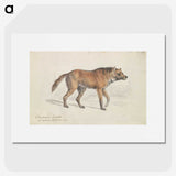 1-70_Charles-Hamilton-Smith_picture