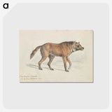 1-70_Charles-Hamilton-Smith_postcard