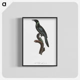1-70_Des-Oiseaux-de-Paradis_blk-crop