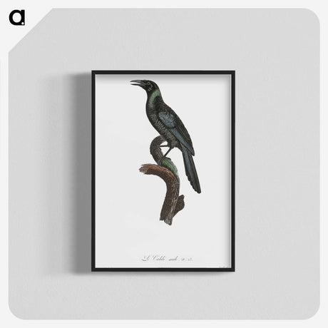 1-70_Des-Oiseaux-de-Paradis_blk-crop