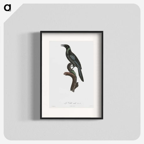 1-70_Des-Oiseaux-de-Paradis_blk