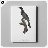 1-70_Des-Oiseaux-de-Paradis_canvas