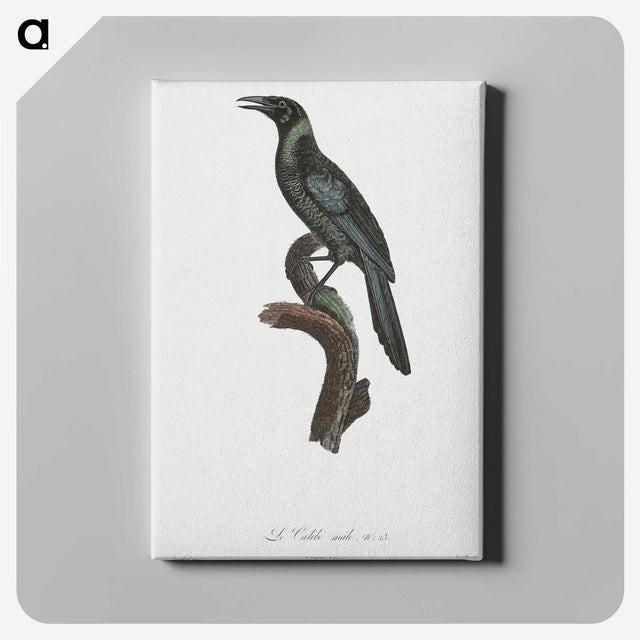 1-70_Des-Oiseaux-de-Paradis_canvas