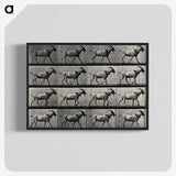 1-70_Eadweard-Muybridge_blk-crop