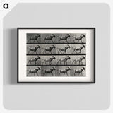 1-70_Eadweard-Muybridge_blk