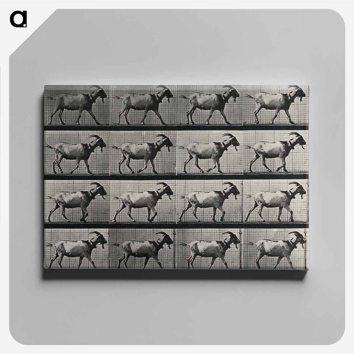1-70_Eadweard-Muybridge_canvas