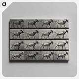 1-70_Eadweard-Muybridge_canvas