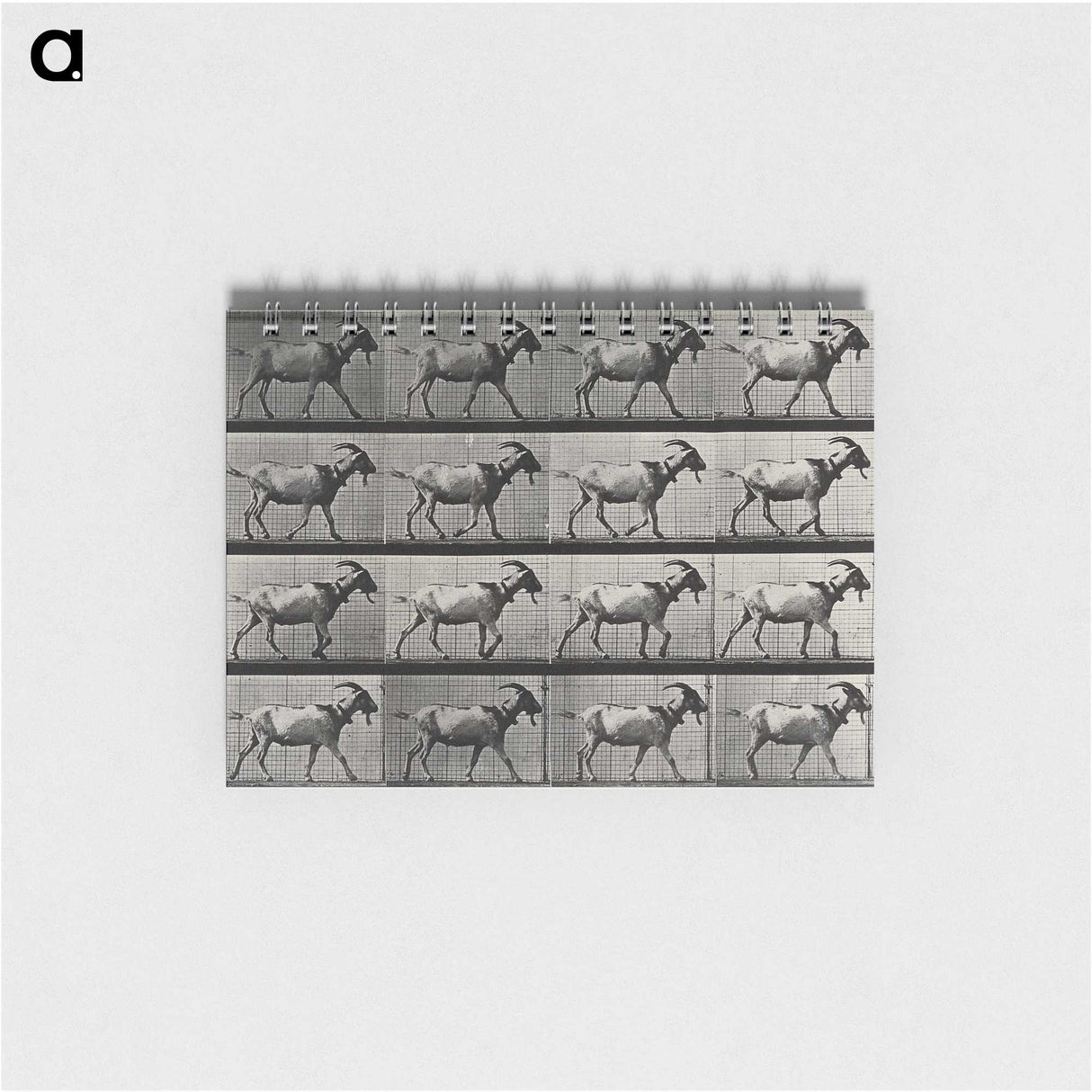 1-70_Eadweard-Muybridge_memo