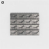 アートメモ帳-Goat Walking
 - エドワード マイブリッジ Memo.