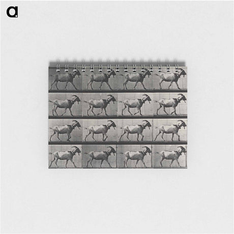 アートメモ帳-Goat Walking
 - エドワード マイブリッジ Memo.