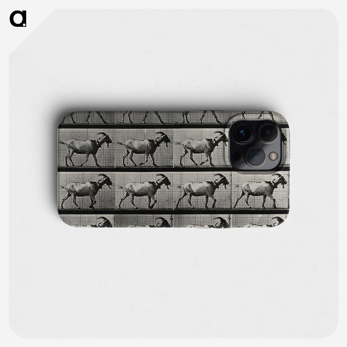 1-70_Eadweard-Muybridge_phone