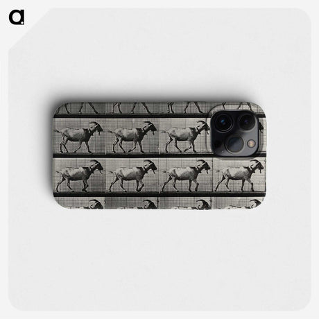 1-70_Eadweard-Muybridge_phone