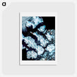 アートポストカード-Franz Josef Land Archipelago from Terra
 - 上空からの地球 Postcard.