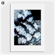 1-70_Earth-from-Above_picture