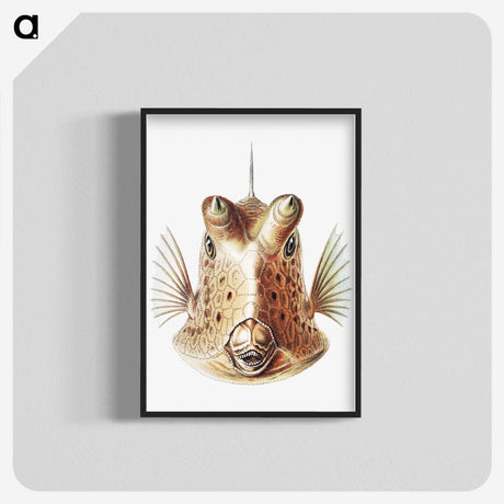 1-70_Ernst-Haeckel_blk-crop