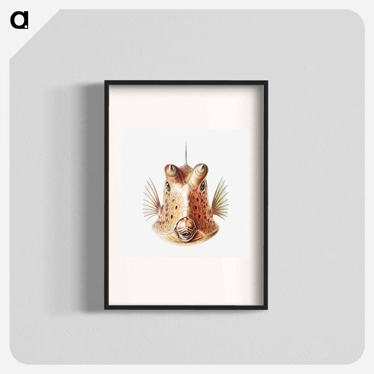 Vintage fish illustration on white background - エルンスト ヘッケル Poster.