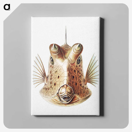 1-70_Ernst-Haeckel_canvas