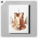 Vintage fish illustration on white background - エルンスト ヘッケル Canvas.