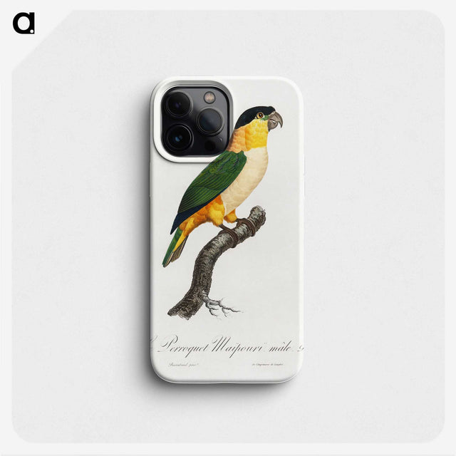 1-70_Francois-Levaillant_phone