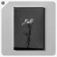 1-70_Frederick-Charles-Brockett_canvas