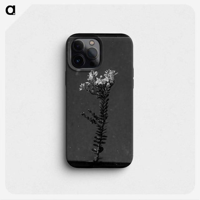 1-70_Frederick-Charles-Brockett_phone