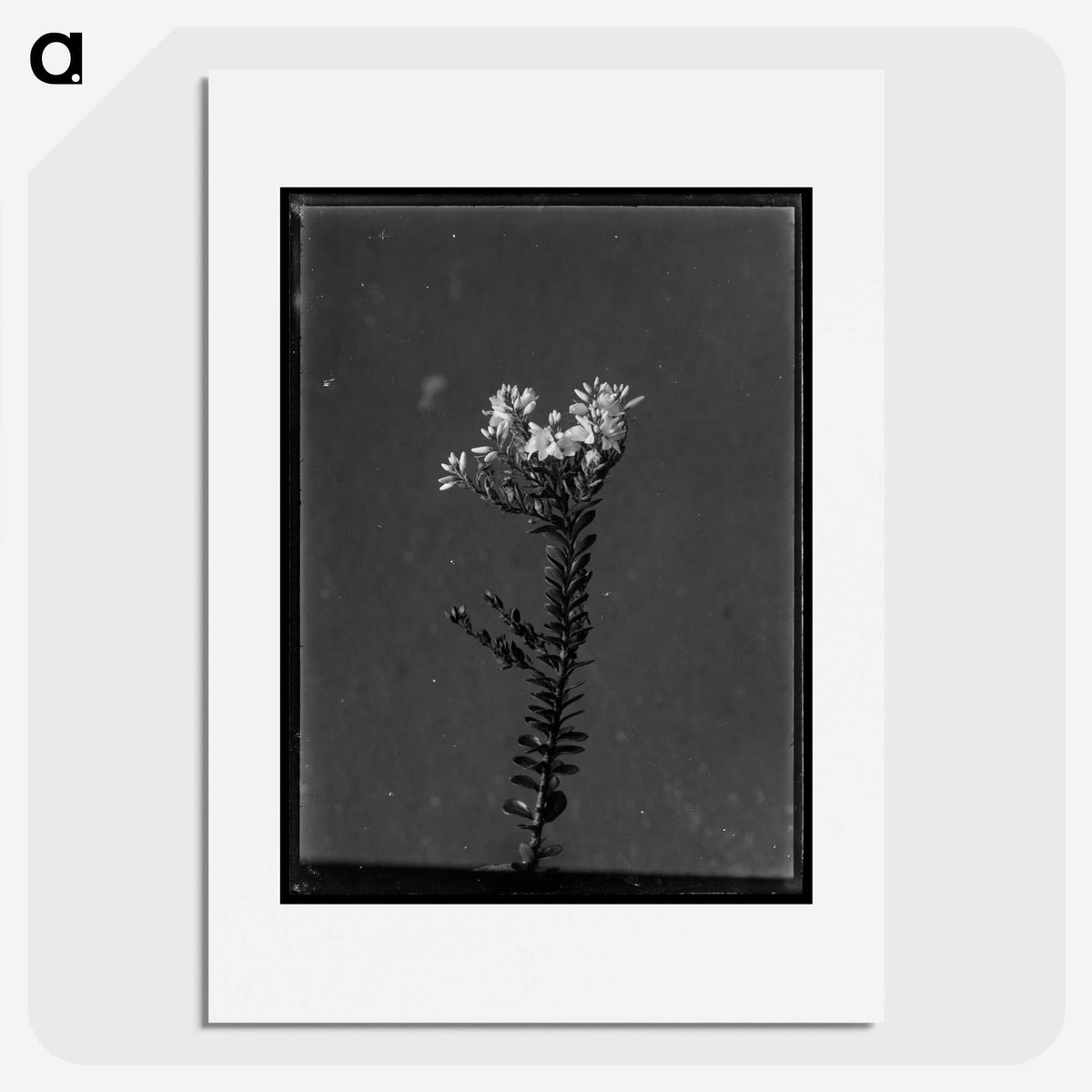 1-70_Frederick-Charles-Brockett_picture