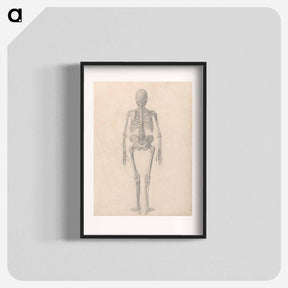 アートポスター-Human Skeleton, Posterior View
 - ジョージ スタッブス Poster.