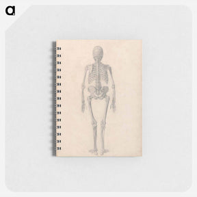 アートメモ帳-Human Skeleton, Posterior View
 - ジョージ スタッブス Memo.