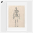 1-70_George-Stubbs_picture