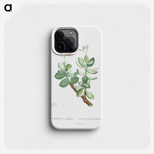 1-70_Histoire-des-Plantes-Grasses_phone