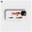 1-70_Ichtyologie-ou-Histoire-naturelle_phone