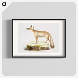 1-70_Indian-Zoology_blk
