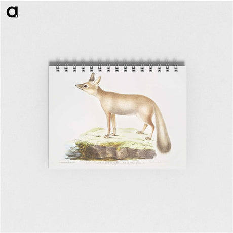 1-70_Indian-Zoology_memo