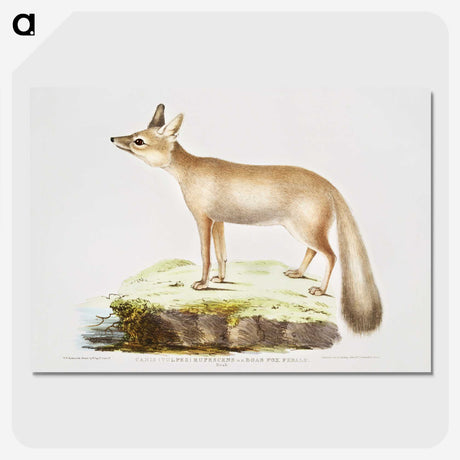 1-70_Indian-Zoology_picture-crop
