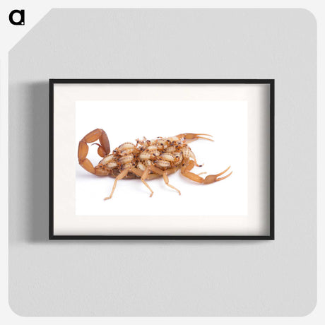 1-70_Insects-Unlocked-Project_blk