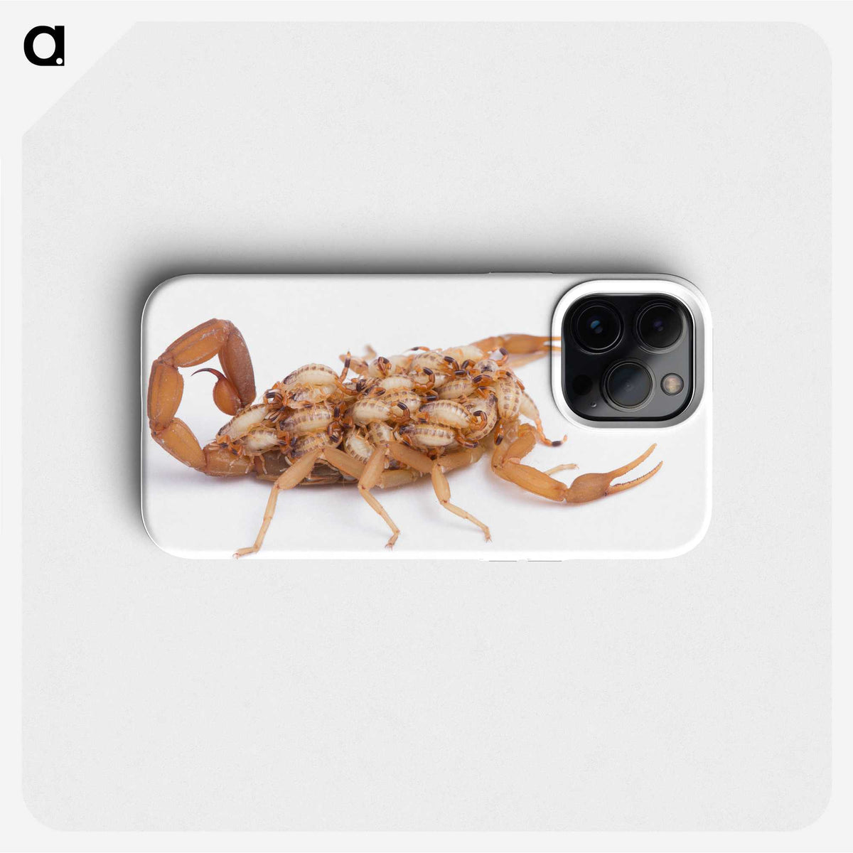 1-70_Insects-Unlocked-Project_phone