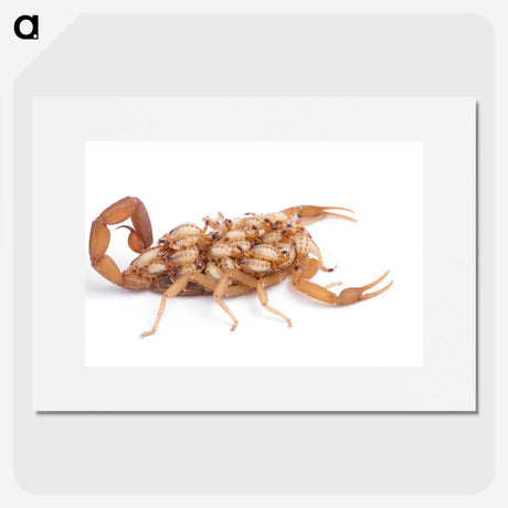 1-70_Insects-Unlocked-Project_picture
