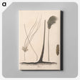 1-70_James-Heath_canvas
