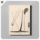 1-70_James-Heath_canvas