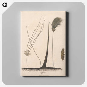 1-70_James-Heath_canvas