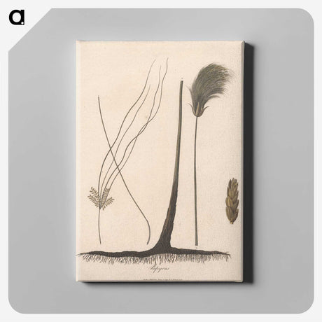 1-70_James-Heath_canvas