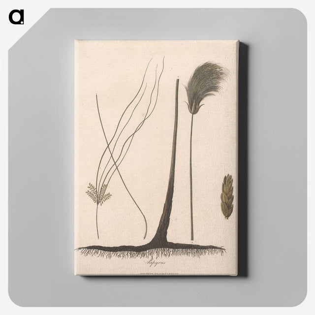 1-70_James-Heath_canvas