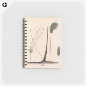 1-70_James-Heath_memo