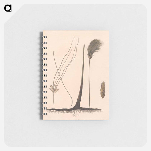 Papyrus
 - ジェームス ヒース Memo.