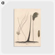 1-70_James-Heath_postcard