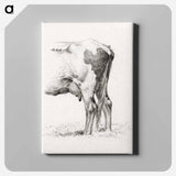 アートパネル-Back legs of a cow - ジャン ベルナール Canvas.