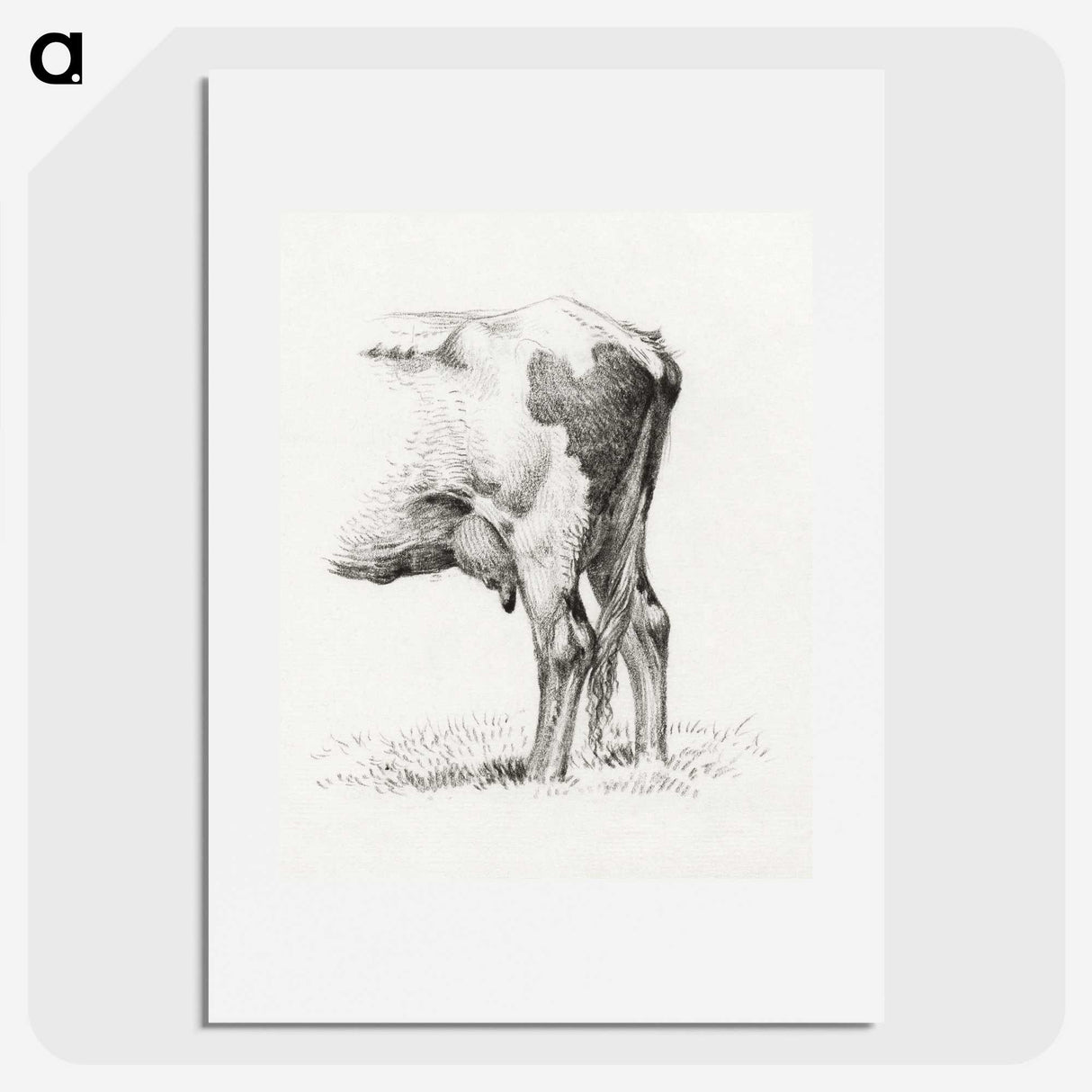 1-70_Jean-Bernard_picture