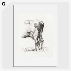 1-70_Jean-Bernard_picture