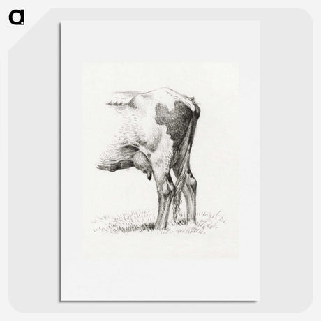 1-70_Jean-Bernard_picture